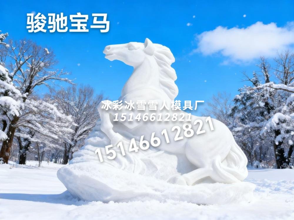 骏驰宝马雪模具
